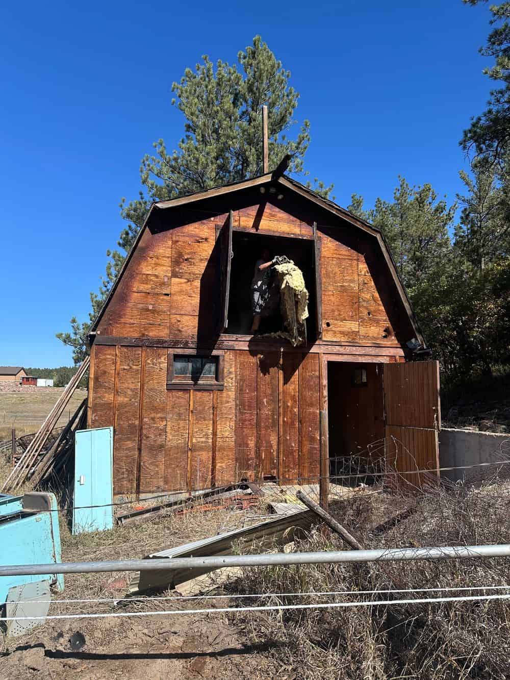 Shed Removal Services  image