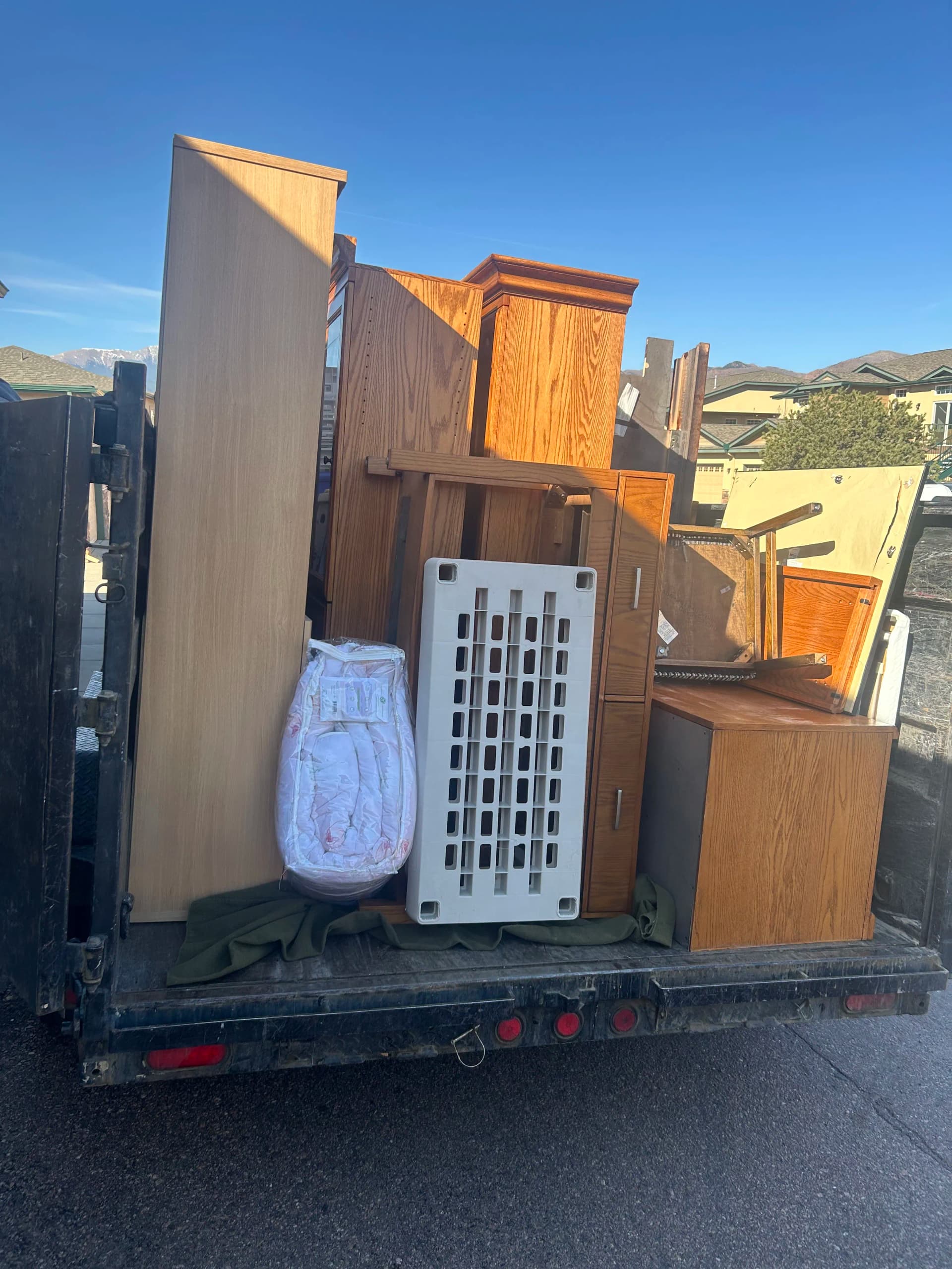 We Hauled It Out and Kept It Out of the Landfill image