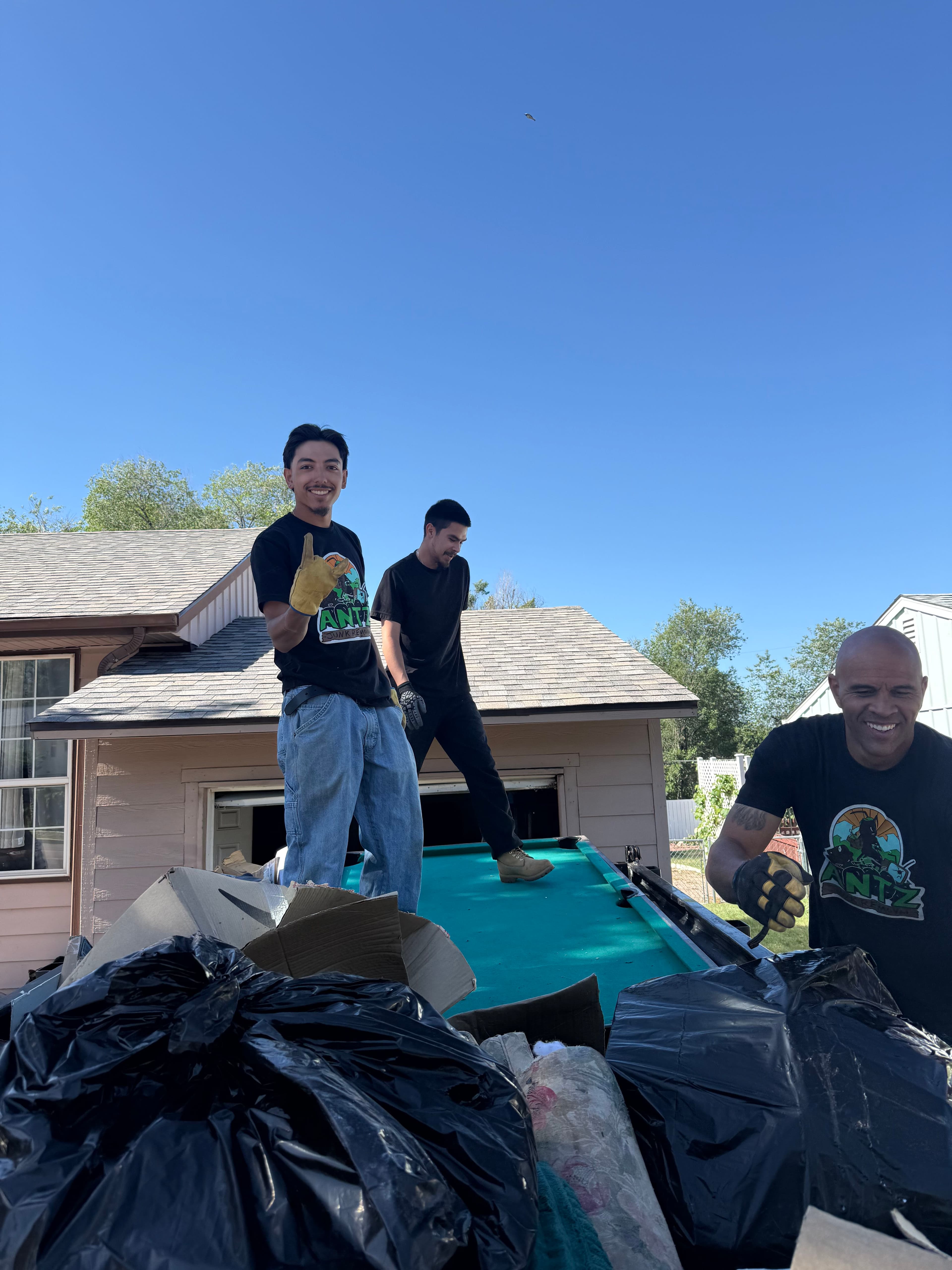 Project No Load Too Big for the Antz Junk Removal Crew image