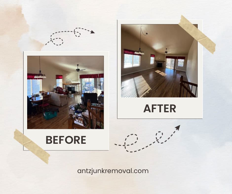 Living Room Transformation with Antz Junk Removal