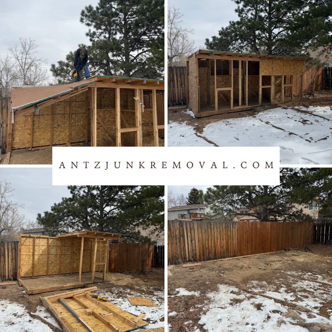 Project Shed Removal Success Story image