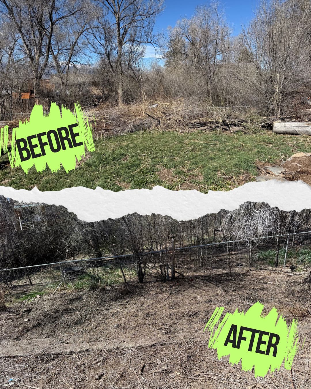 Heavy Brush Cleanout That Cleared an Overgrown Outdoor Space image