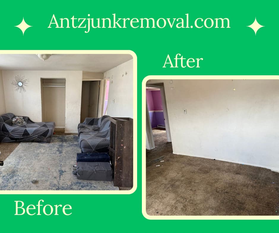 Amazing Transformation Small Space Clean Out