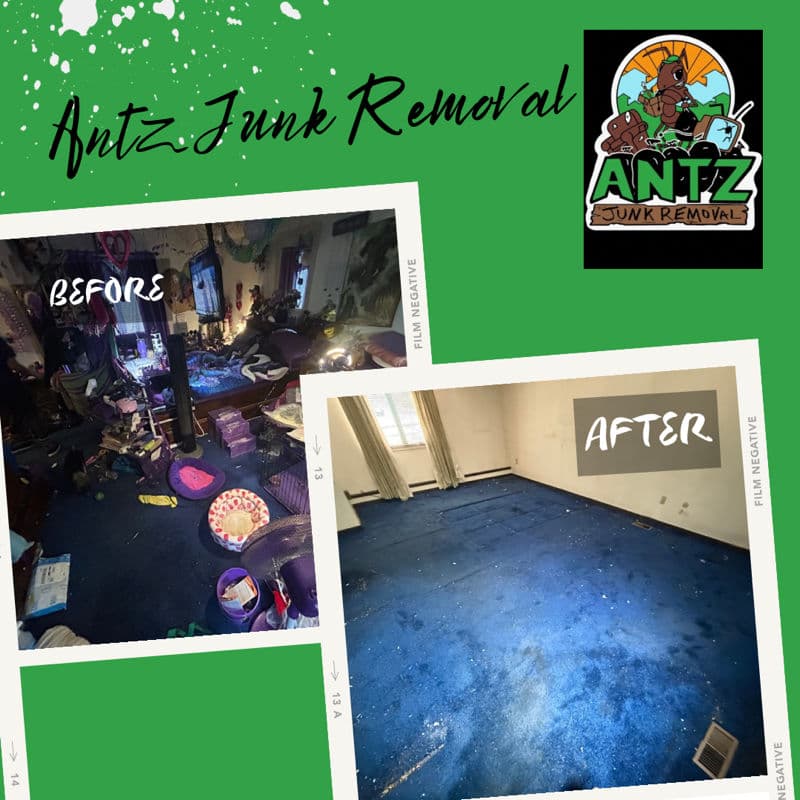 Project Stunning Room Transformation with Antz Junk Removal image