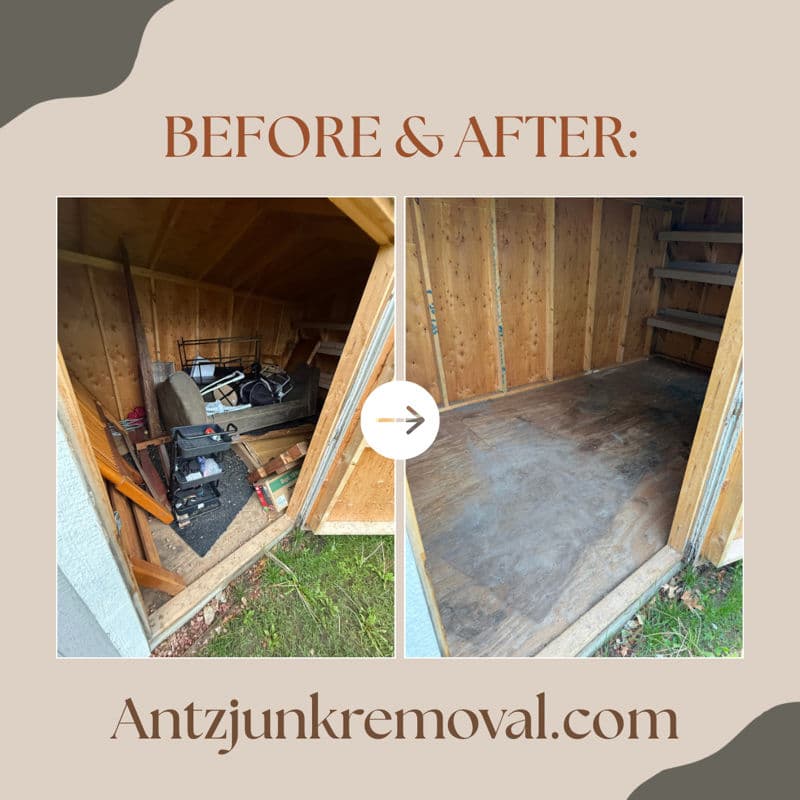 Clutter-Free Shed Transformation Experts image
