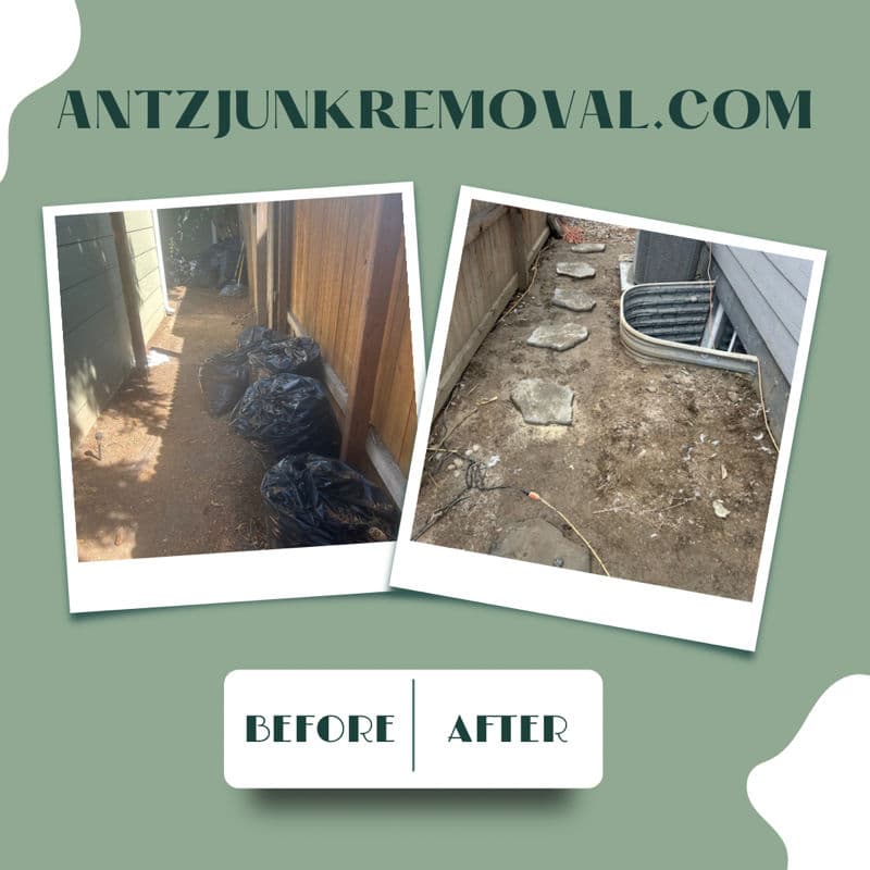 Experience a Seamless Junk Removal Process image
