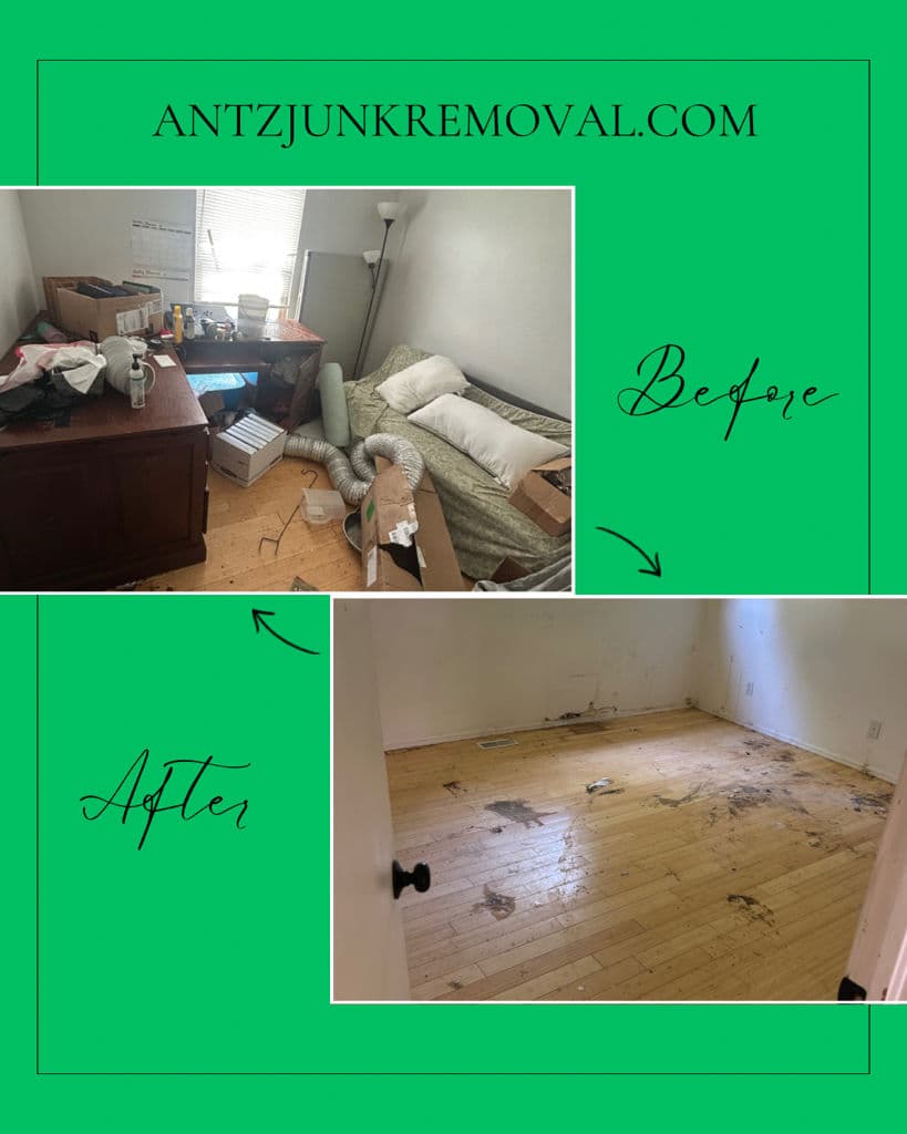 Effortless Hoarder Home Transformations image