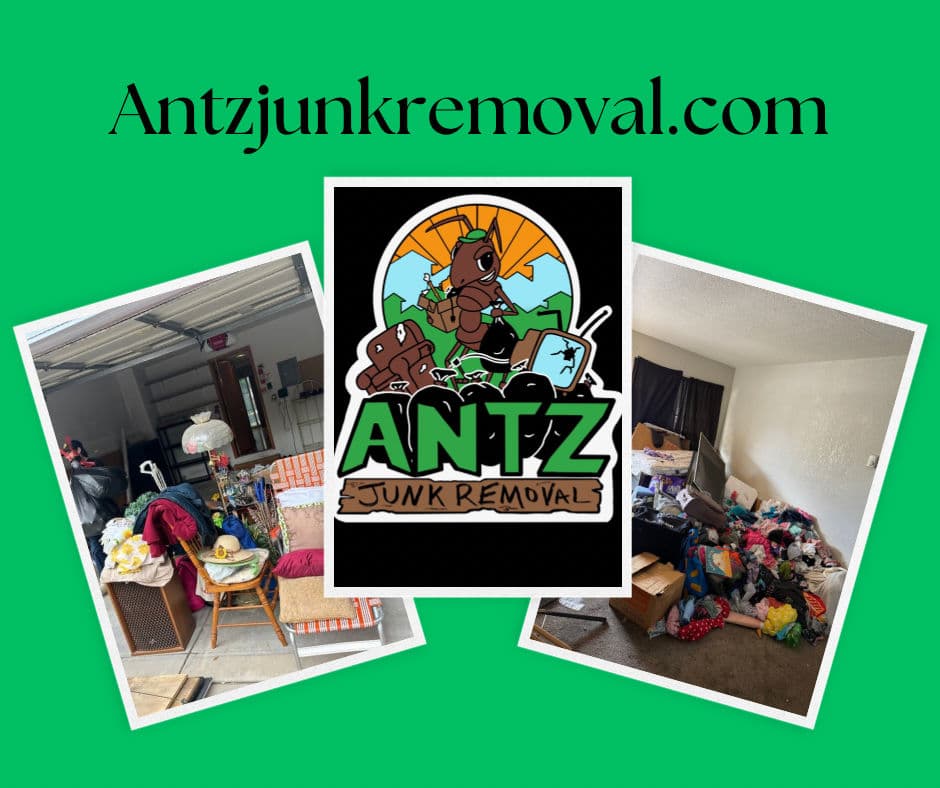 Clearing the Clutter with Antz Junk Removal