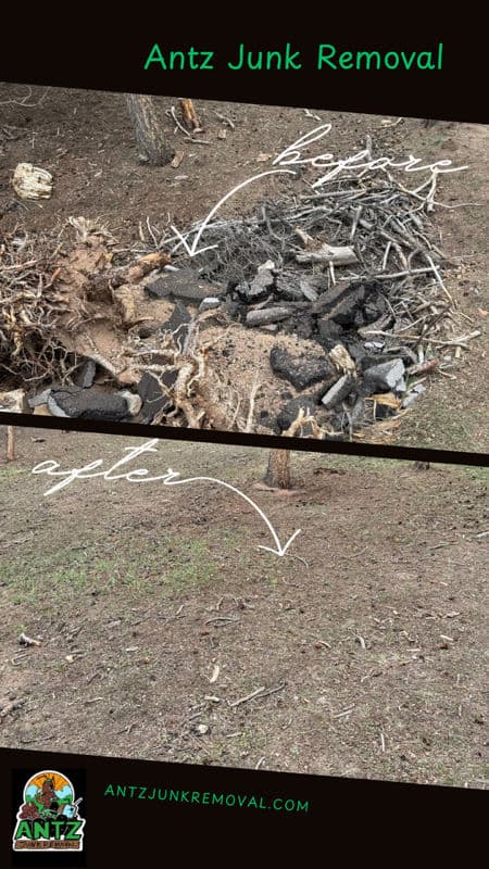 Project Transforming Yards with Efficient Junk Removal image