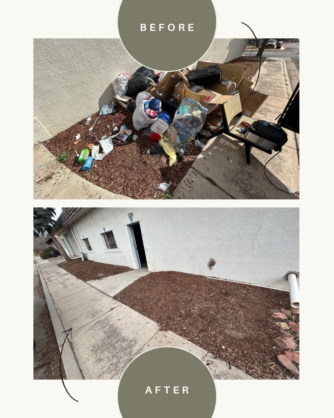 Clutter-Free Spaces with Antz Junk Removal image